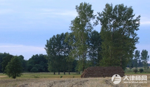 误判服刑赔偿多少?