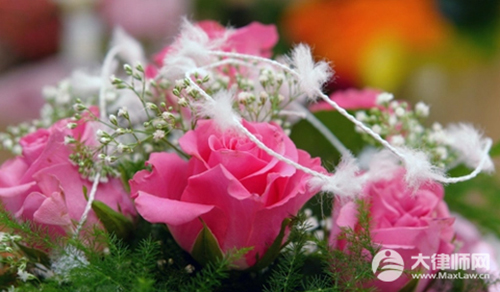 领养小孩上户口需要什么手续?