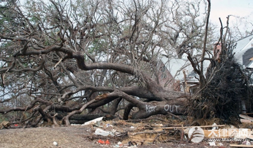 醉驾如何申请缓刑?