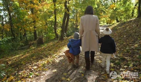 2025年独立户口的条件是什么?