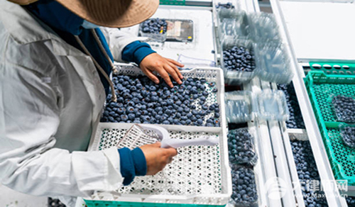 2025个人住房公积金账户设立时间规定是多久?