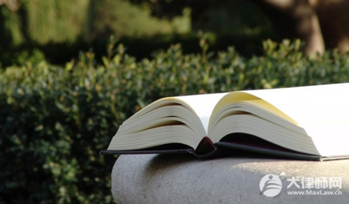 第一责任人要承担所有责任吗?