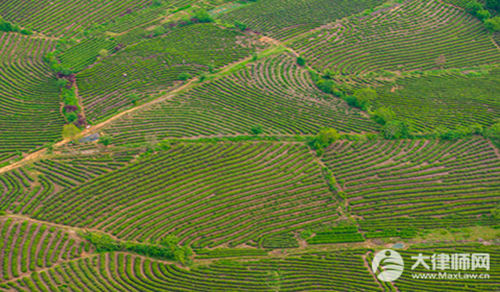 农村土地纠纷找哪个部门最管用?