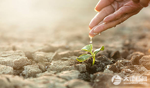 土地已确权村委有权收回吗?