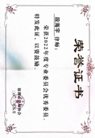 2022年度专业委员会优秀委员1