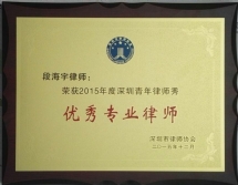 奖牌：优秀专业律师牌01.jpg