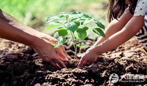 土地承包经营权确认纠纷应该以谁为被告?