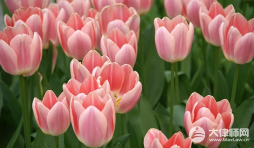 父亲和后妈的财产我有继承权吗?