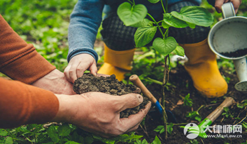 土地承包期间被征收补偿归谁?
