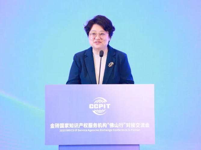 赋能出海 | 知恒佛山深度参与金砖国家知识产权服务交流会