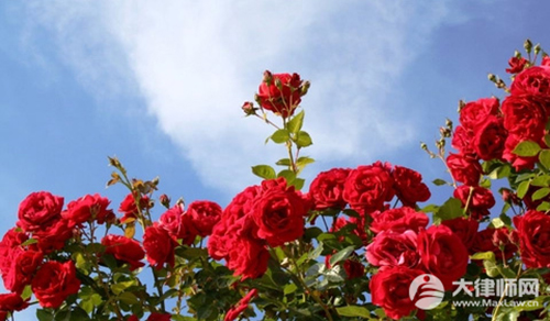 涉外婚姻手续办理2026