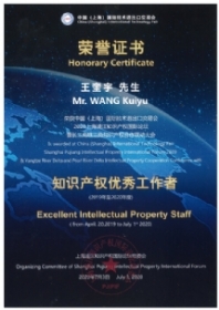 王奎宇-宝山区版权代理律师照片展示