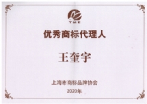 王奎宇-宝山区版权代理律师照片展示