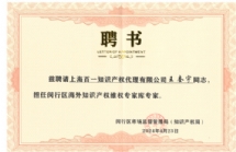 王奎宇-宝山区版权代理律师照片展示