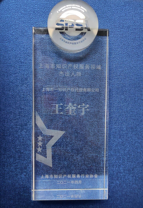 王奎宇-宝山区版权代理律师照片展示