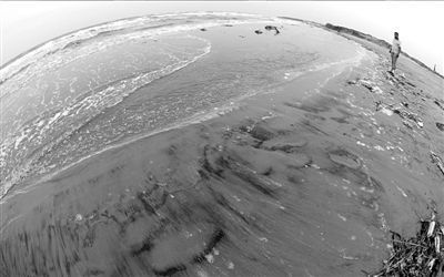 河北乐亭水产疑遭渤海漏油污染 