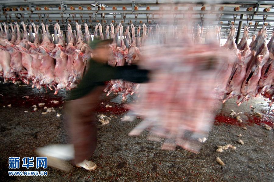 "瘦肉精"事件追踪