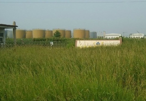 山东鄄城为迎领导视察紧急建遮羞墙