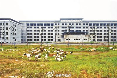 安徽一政府工程因