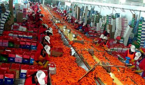 山东寿光一食品厂火灾致18人死13伤4失联