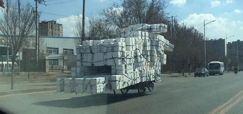 高危系数，沈阳小哥倒骑驴开挂