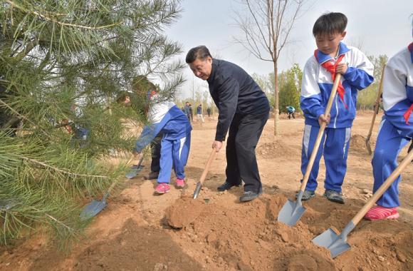 习近平：绿化国土   建设美丽中国