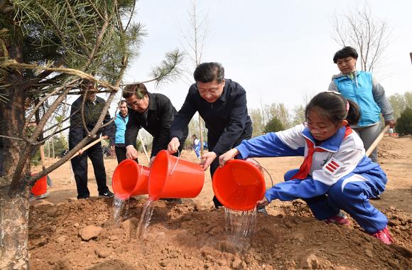 习近平：绿化国土   建设美丽中国