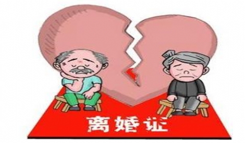 一纸离婚诉讼，八旬老人对簿公堂