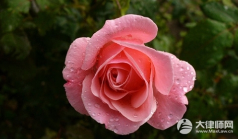 2025偷税如何判刑?