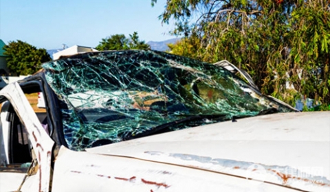 未系安全带的处罚标准2026