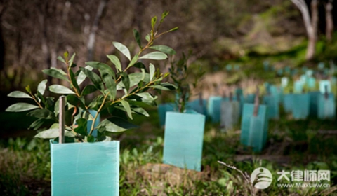 土地承包经营权到期后怎么办?