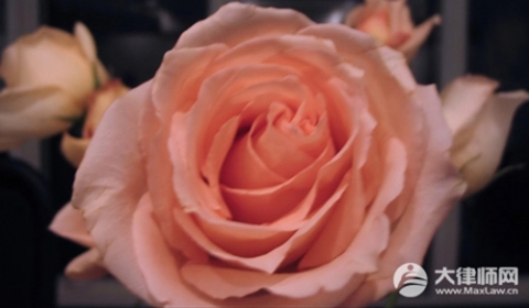 撤销父母监护权孩子会怎么样