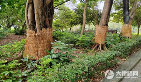 2026年农村林地可以建房子吗?