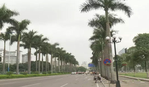 惊恐一幕!骑车女子被落叶瞬间砸倒 瘫在路面上