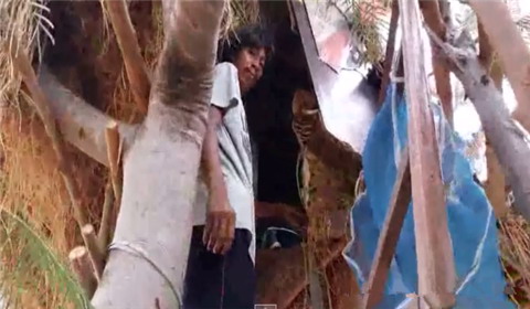 泰国男子无家可归爬树住“鸟窝” 表示很幸福