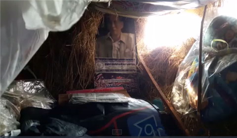 泰国男子无家可归爬树住“鸟窝” 表示很幸福