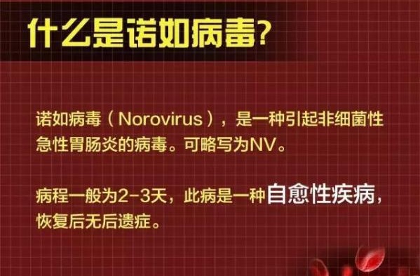 小学学生集体呕吐多人检出诺如病毒  如何预防诺如病毒？