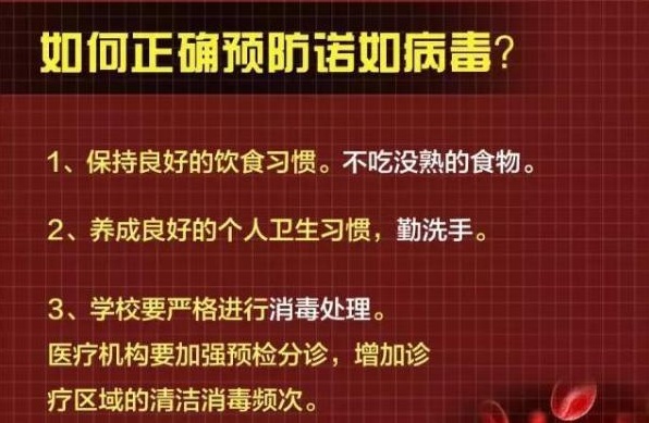 小学学生集体呕吐多人检出诺如病毒  如何预防诺如病毒？