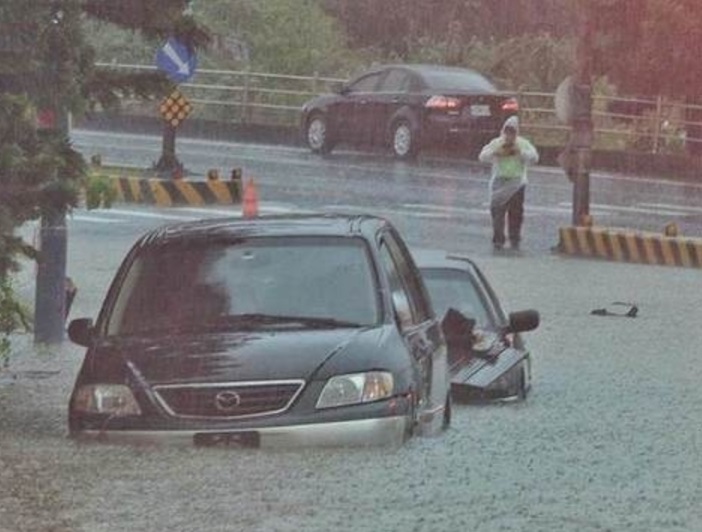 连降超大暴雨野生鱼龟被冲上岸  台湾降雨量突破17年纪录