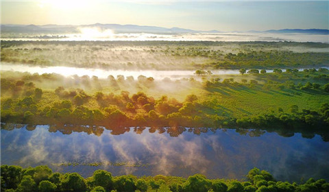 乌苏里江湿地晨光 动人心魄（图）