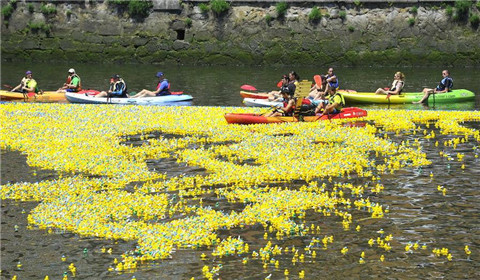 为筹善款西班牙举办“小黄鸭”游泳赛 3万只小黄鸭参加