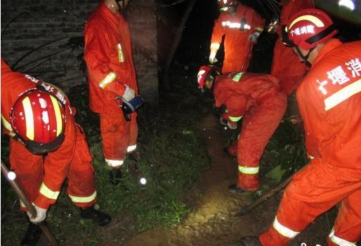 暴雨致湖北竹溪一养猪场受淹 消防转移60余头猪
