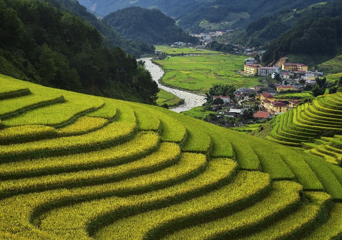 越南绝美梯田超过2200公顷（图）