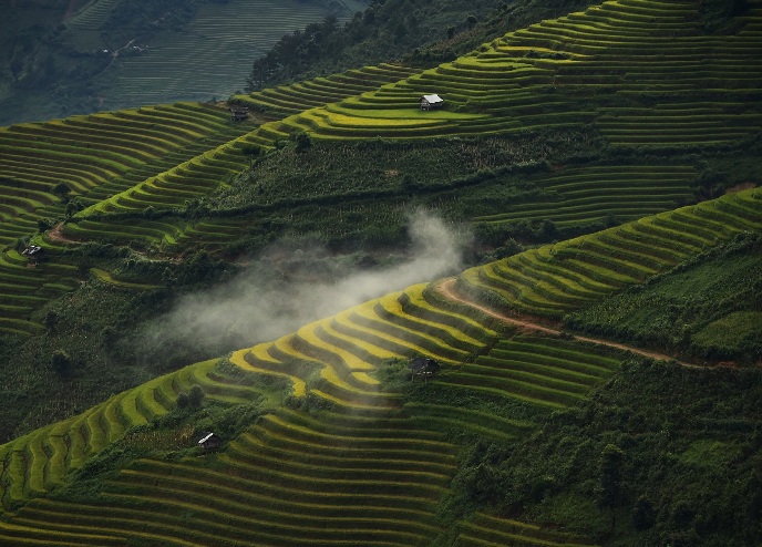 越南绝美梯田超过2200公顷（图）