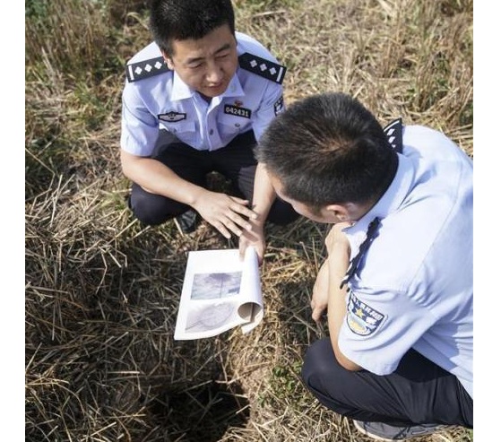 “秦都遗址”被盗案  盗墓者曾参与文物普查项目