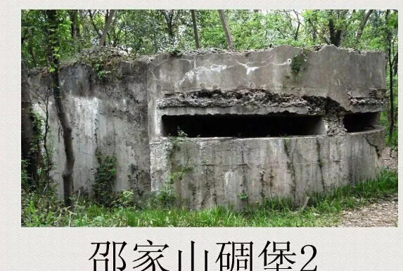 舆论二：两名精日南京紫金山留影