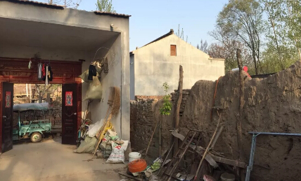 团伙7天盗尸3起替他人火化 专挑有陪葬的新鲜尸体