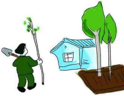 四川木里县破获特大非法采伐红豆杉案 非法采伐珍贵树木罪判几年