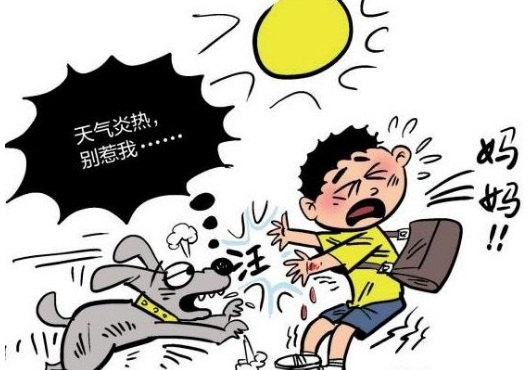 2018年狗咬人如何赔偿?饲养动物伤人责任如何认定?