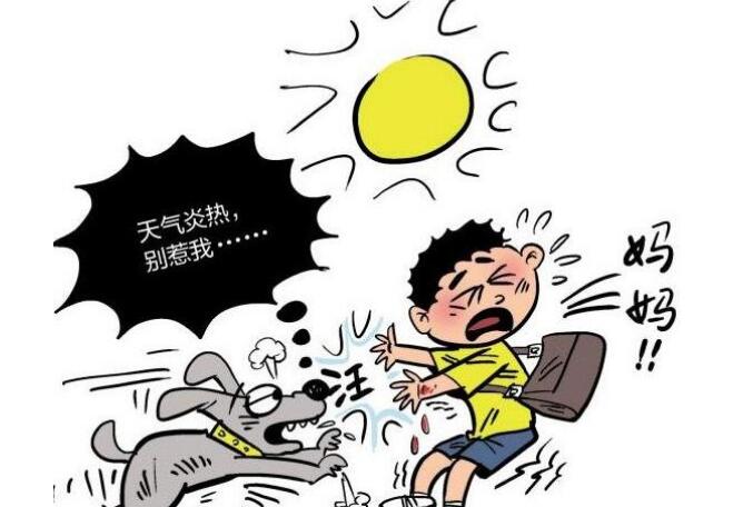 2018年宠物伤人的赔偿责任谁来承担？要怎么赔偿？